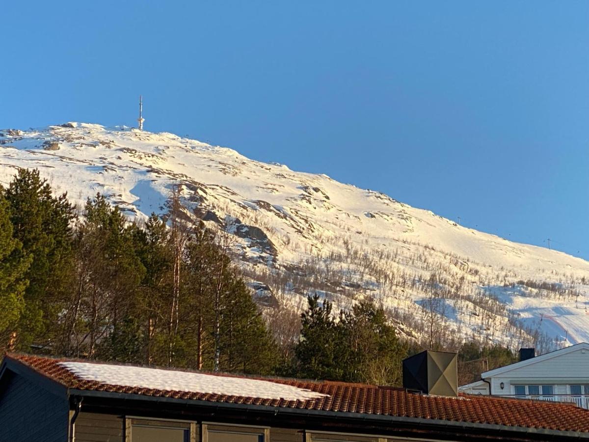 Big Central House, Free Parking, Wifi, 3 Bedrooms Narvik Dış mekan fotoğraf